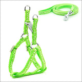 Pet Supplies Leash Cat Chest Strap Dog Leash